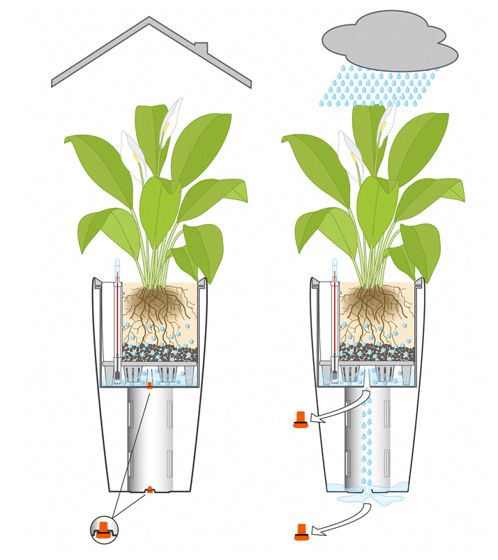 Connaissez-vous vraiment les pots de fleur à réserve d'eau ? - Blog de  Jardin Concept